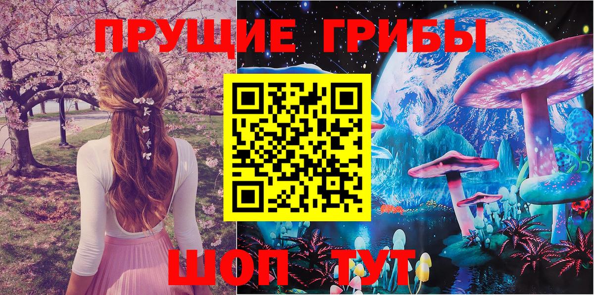 Псилоцибиновые грибы Magic Shrooms Клинцы